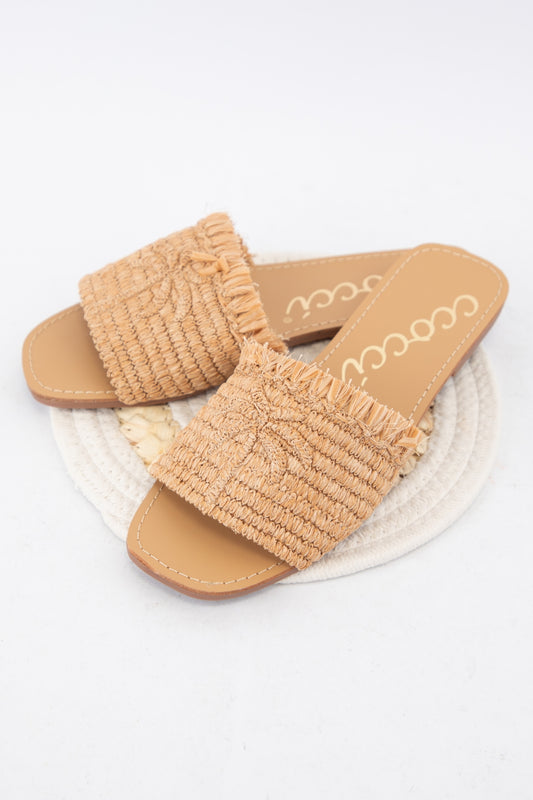SANDY_CAMEL_4255244