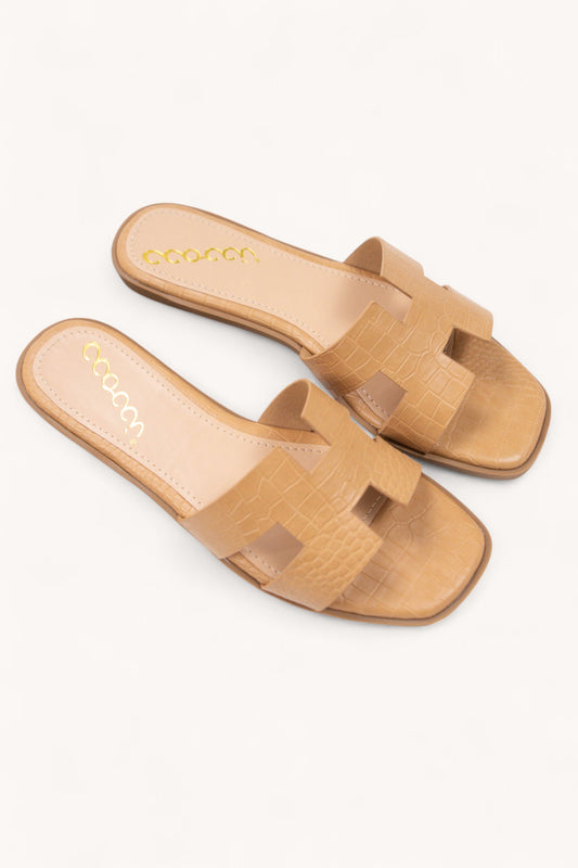SHEA_W_CAMEL_4191496