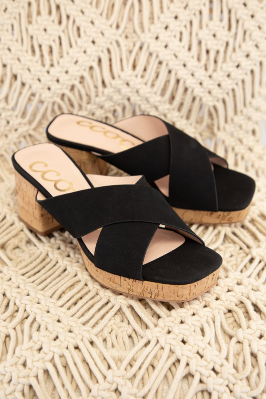 CHANDRA_BLACK_4336869