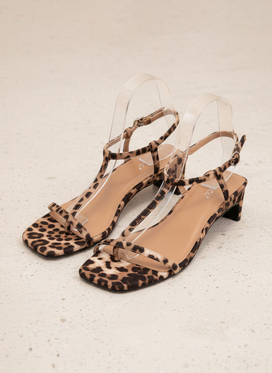 MIA_LEOPARD_5485482