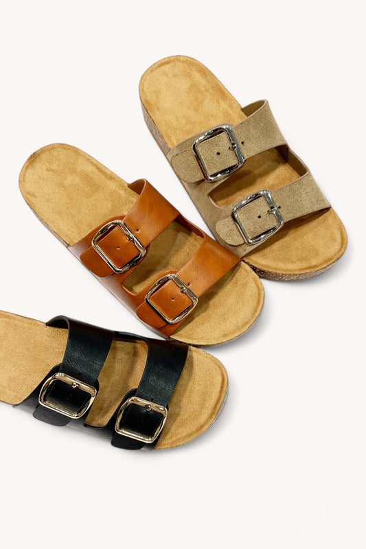 CHAMPION-81_BLACK_3842137